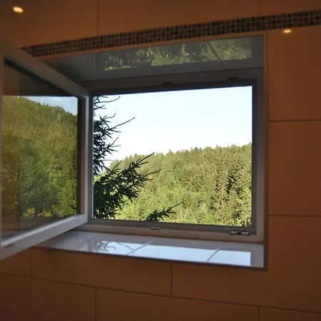 Appartement Ferienwohnung Rosenbach