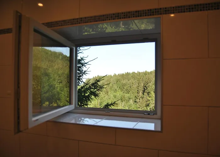 Apartment Ferienwohnung Rosenbach